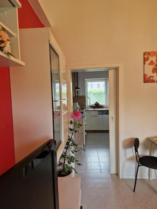 Ferienwohnung Bayernbrise Rohrdorf  Ngoại thất bức ảnh